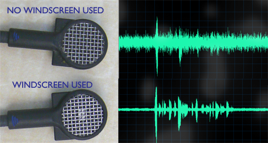 Effect of Windscreen Use on Recognition